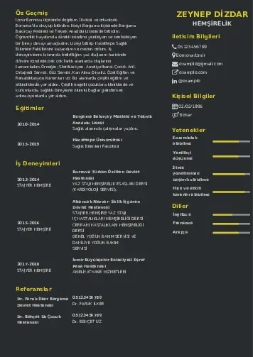 Sağlık Çalışanı Cv Örnekleri cv indir